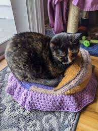 But, i found these little crocheted couches that people are making, and now i feel like we need one. These Crochet Kitty Couches Are Just Too Cute For Words Cattitude Daily