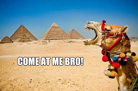 Funny camel hump day valentine card hey, guess what day it is. 25 Very Funny Camel Pictures