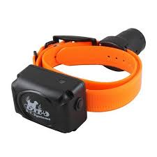Check spelling or type a new query. Dt Systems Electronic Dog Collars At Dogs Unlimited