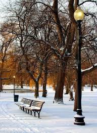 Publicas De Boston Garden En La Nieve Ee Uu Jardin De Invierno Paisaje Invernal Paisajes De Invierno