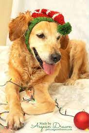 Elf Hat For Dogs Dog Elf Hat Holiday Dog Hat Christmas Hat For Dogs Large Breed Dog Hat Christmas Elf Dog Hat Elf Dog Hat Dog Holiday Dog Hat Elf Hat