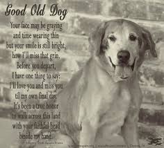 86103ba1023b68d42b854c04cacfff94 Jpg 720 654 Pixels Dog Quotes Dog Poems Old Dogs