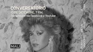 Museo de Arte de Lima (MALI). Museo, Organización con colección