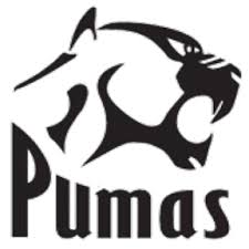 Pumas in currie cup team of the week. Pumas Vs Golden Lions Summary Currie Cup 2021 2 Jan 2021 Espn