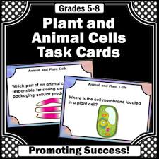 5th year kid, save this website for 6th & 7th grade. Plant Cells And Animal Cells 5th Grade Worksheets Teaching Resources Tpt