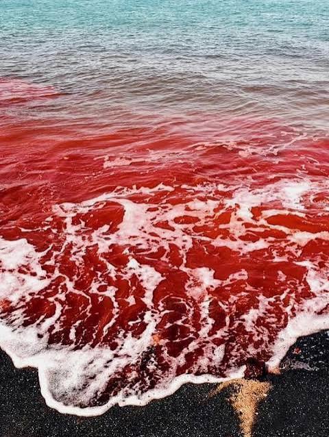 Red Beach, Hormuz Island, Iran