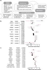 Today, pathologists use microscopes to diagnose breast cancer and to tell how hard the patient is hit. The Prognostic Effects Of Somatic Mutations In Er Positive Breast Cancer Biorxiv