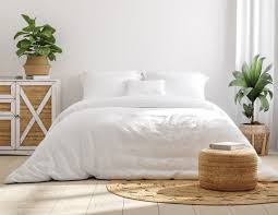 Kokusunun rahatlatıcı etkisini yatak odanızda hissedebilirsiniz. Yatak Odasinda Yetistirilebilen Bitkiler Nelerdir Iste 13 Ornek Evim