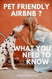 How many pet friendly listings are in your city? Pet Friendly Airbnb Top Airbnb Airbnb Host Airbnb