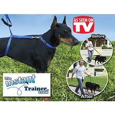 Wildlebend Instant Trainer Leash Kopek Egitim Tasmasi Fiyati