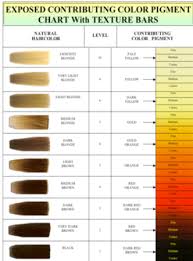 Underlying Pigments In Hair Lajoshrich Com