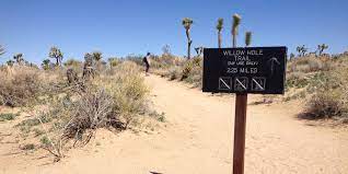 Maybe you would like to learn more about one of these? Hike Willow Hole Trail