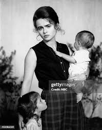 Image result for Harveya helenae