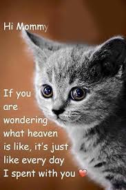 Check spelling or type a new query. 120 Quotes That Cat Owners Will Surely Understand Cats Catlovers Catquotes Pet Loss Grief Cats Pet Grief