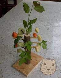 Les reproductions peuvent être réalisées en autres tissus disponibles dans. Idee De Jouets Pour Eviter L Ennuie De Mon Lapin Nain En Mon Absence Forum Lapin Lapin Wamiz