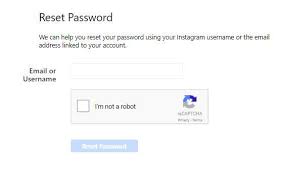 Tap on the forgot password option. How To Reactivate Instagram Account Follow This Steps