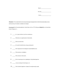 Cardinal and ordinal numbers)this is useful as a follow up test of revisio. Imagery Practice Worksheets Teaching Resources Tpt