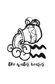 Those born under the virgo zodiac are so reserved that it is hard even to get to know them, much less win their hearts. The Water Bearer Zodiac Sign Notebook For Any True Believer Of Astrology And Horoscopes Diy Journal And Diary 120 Squared Pages Notebooks Astrology Horoscope 9781087151724 Amazon Com Books