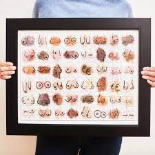 Once you show children's puzzles to adults, most of them immediately get a brain freeze. Best Puzzles For Adults 2020 Jigsaw Puzzles That Ll Keep You Very Busy