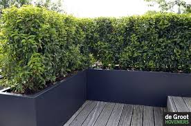 Auf Einer Dachterrasse Haben Die Pflanzgefasse Eine Trennwand Gebaut In Diesem Behalter Terrasse Und Balkon Gartenprodukte Gartendesign Ideen Dachterrasse Pflanzen
