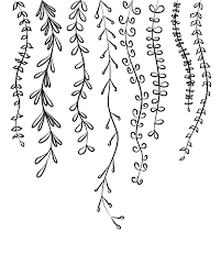 Vines And Leaves Wallpaper From Happywall Com Doodle Art Journals Easy Doodle Art Vine Drawing