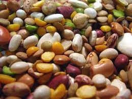 Parsnips are easy winter vegetables. 14 Vegetables That Cause Gas Bloating Non Gassy Veggies
