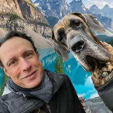 Drooling in Great Danes at 4 months old?