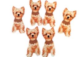 Iron On Yorkie Fabric Patches Set Of 6 Appliques Patches Dog Applique Patches Sew On Patches Free Shippin Iron On Fabric Iron On Applique Fabric Patch