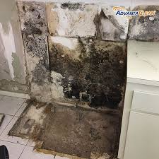 Dampness In Any Home Can Lead To Mold And Mildew Growth And In Addition To Being A Health Hazard Moldy Conditions Mold Remover Sound Proofing Mold Removal Cost
