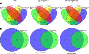 One Piece 928 Anoboy Dalam