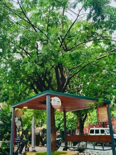 Amdavad Municipal Corporation | અમદાવાદમાં શહેરનું પ્રથમ વૃક્ષ સાથે સંકલિત  ગ્રીન બસ શેલ્ટર! અમદાવાદ મ્યુનિસિપલ કોર્પોરેશન દ્વારા પાયલોટ પ્રોજેક્ટ ...