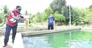 Check spelling or type a new query. Taman Narmada Fasilitas Rute Jam Buka Harga Tiket Dan Daya Tarik Tempat Me