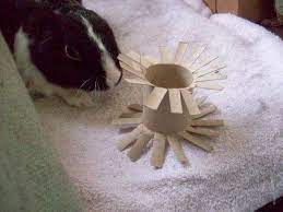 Bunny Diy How To Make Your Own Homemade Rabbit Toys Homemade Rabbit Toys Diy Bunny Toys Pet Rabbit Toys