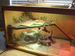 Bearded Dragon Org View Topic Viv Pics Only Thread Baby Bearded Dragon Bearded Dragon Habitat Bearded Dragon Tank
