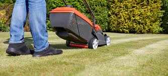 Lower the cutting height of your mower. How To Add Stripes To Your Lawn