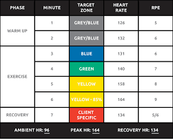 heart rate recovery assessment