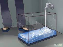 How To Grow Bioluminescent Algae At Home 9 Steps With Pictures Bioluminescent Algae Algae Bioluminescence