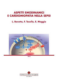 If you or your loved one has an infection that's not getting better or is getting worse, act fast. Amazon Com Aspetti Emodinamici E Cardiomiopatia Nella Sepsi Italian Edition Ebook Barutta Letizia Tosello Francesco Maggio Elena Kindle Store