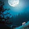 Download romantic full moon picture for your boring desktop by clicking it and then, you will go fast to downloading page. Https Encrypted Tbn0 Gstatic Com Images Q Tbn And9gcsvkpmjuv1btdnwsk3kfdbbvqg3ldmgajizdiueohif 8645nou Usqp Cau