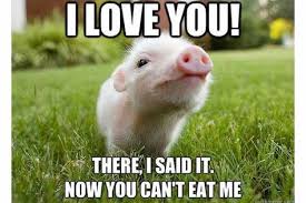 Nice funny meme for her to support. 200 Romantic Cute Love Memes For Her