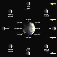 Phases Of The Moon Lunar Cycle Diagram Shapes Pictures