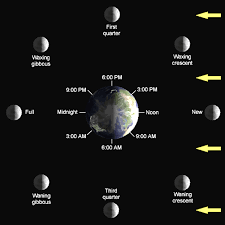 phases of the moon lunar cycle diagram shapes pictures