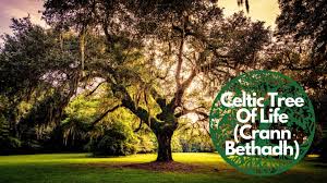 We did not find results for: Celtic Tree Of Life Crann Bethadh All You Need To Know About It