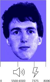 Schematic overview of a CS+ trial reinforced by electric shock. Total...