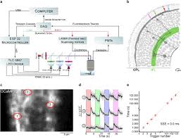 The clear tabs are bigger, providing 50% . Led Zappelin An Open Source Led Controller For Arbitrary Spectrum Visual Stimulation And Optogenetics During 2 Photon Imaging Sciencedirect