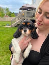 Marcy Gamble's Instagram, Twitter & Facebook