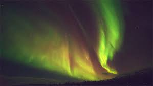 Https Encrypted Tbn0 Gstatic Com Images Q Tbn And9gcsn4zyvsux1mhycr2dijoytkvlstmrpm2ucag Usqp Cau