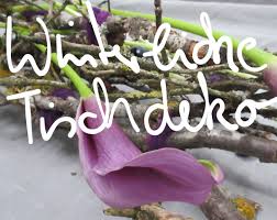 Tischdekoration Mit Calla Und Zweigen Asten Calla Dekoration Und Zweige