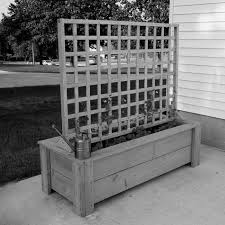 We did not find results for: A Trellis To Finish The Box The Occupational Hobo