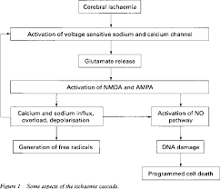 Image result for Stroke Pathophysiology